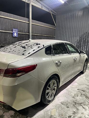 spark 2017: Kia K5: 2017 г., 2 л, Автомат, Газ, Седан — 8