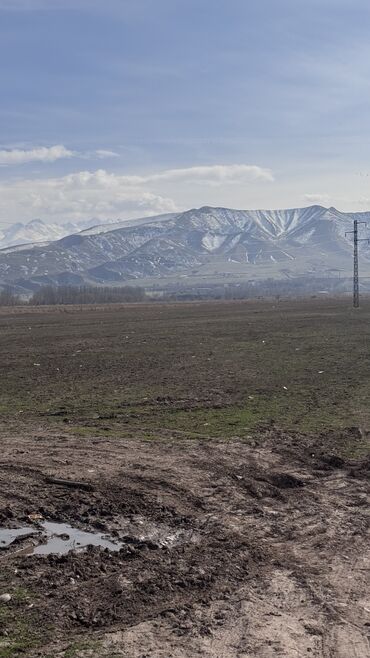 Продажа участков: 385 соток, Для сельского хозяйства, Договор дарения — 3