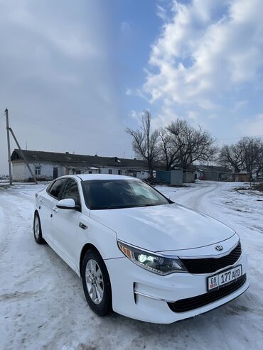 полированная машина: Kia Optima: 2017 г., 2.4 л, Автомат, Бензин, Седан