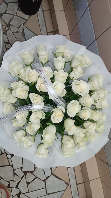 Другая зелень и микрозелень: Акция 51 роза 1900‼️Дешево Розы букеты оптом и в розницу 24/7 доставка — 10