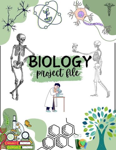 химия курсы: 🔬 Репетитор по биологии (онлайн) 📘 Подготовка к ОРТ по биологии