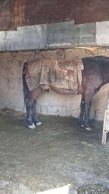 Продажа участков: 13 соток — 3