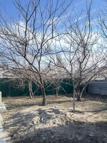 Спальные гарнитуры: Сдается частный дом-времянка со всеми удобствами Сдается уютная — 18