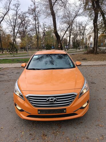 хендай авто: Hyundai Sonata: 2018 г., 2 л, Автомат, Газ, Седан