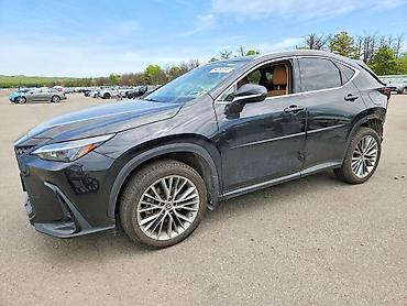 nx: Lexus NX: 2022 г. — 3