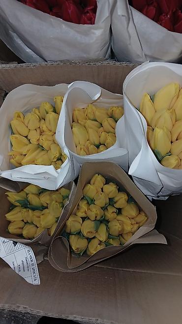 Букеты из живых цветов: Букеты из тюльпанов - Классические моно‑букеты и мини‑букеты в — 4