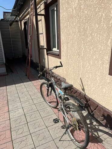 Горные велосипеды: Горные велосипеды (несколько штук на фото) - Класс — 5