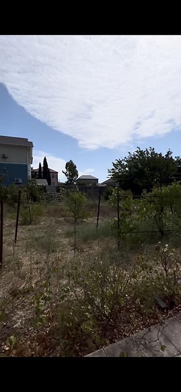 nargilə: Saray 7 otaqlı, 260 kv. m, Orta təmir — 2