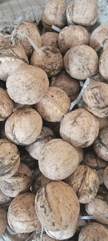 Сухофрукты, орехи, снеки: Продам грецкий орех, средний. 2023 г урожай. Около 200 кг