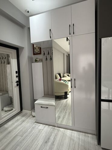 ağ şkaf: Açılan, 2 qapılı Düz dolab, Dəhliz dolabı