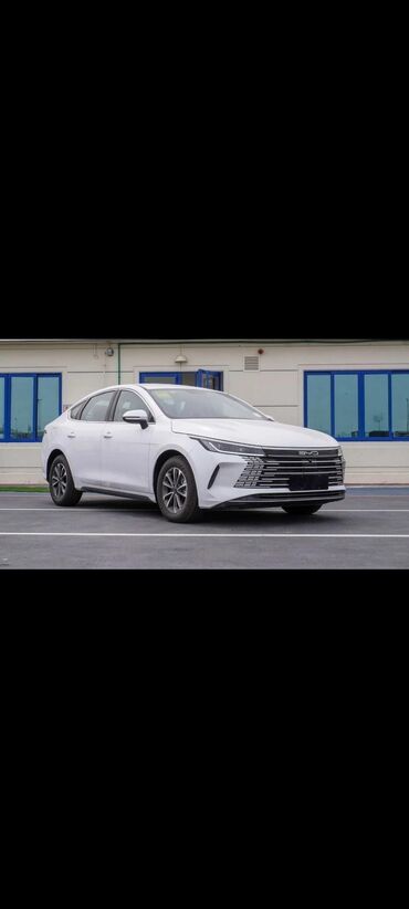byd maşın: BYD Destroyer 05: 0.5 l | 2024 il Sedan