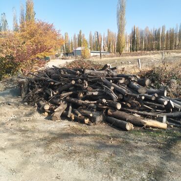 шабашные расценки на строительные работы рядом каракол: Дрова карагач 3-4 Портер есть