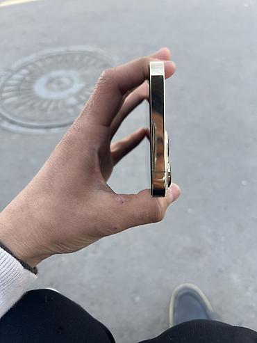 Apple iPhone: IPhone 13 Pro Max, Серебристый, Чехол — 4