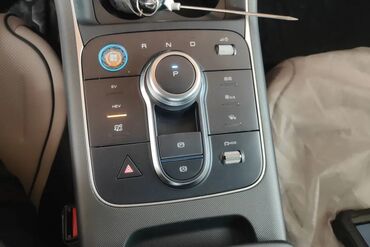 BYD: BYD : 1.5 l | 2024 il 55 km Sedan — 16