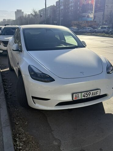 Tesla: Tesla Model Y: 2023 г., Электромобиль, Кроссовер — 1
