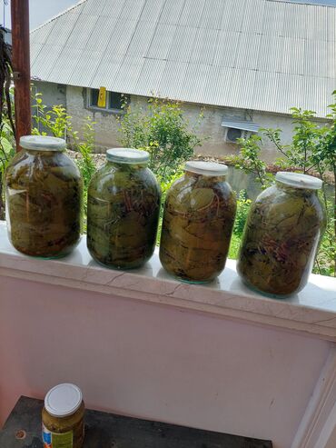 su çənləri ikinci əl: Bankalarda saxlanılmış təzə üzüm yarpaqları. Dolma hazırlamaq üçün