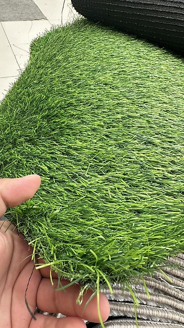 mürəbbə qiymətləri: 🌿 Hər fəsildə yaşıl görünən məkanlar üçün ideal seçim! Süni — 7
