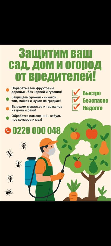 ден соолук: Бөлмөлөрдү тазалоо, | Үйлөр