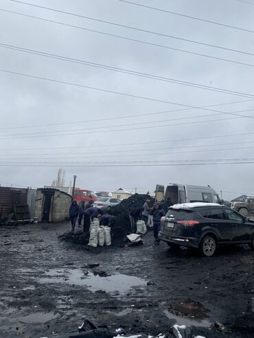 уголь майкуба отзывы: Кара-Кече көмүрү, Акылуу жеткирүү, Өзү алып кетүү, Чекене, Фракциясы: Чоң (Ч), Каптарда