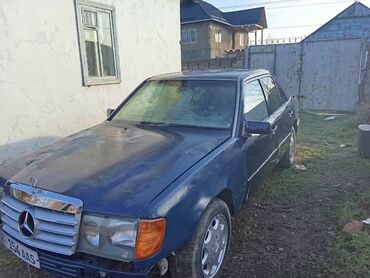бак мерс: Mercedes-Benz W124: 1993 г., 2.3 л, Автоматтык, Бензин, Седан