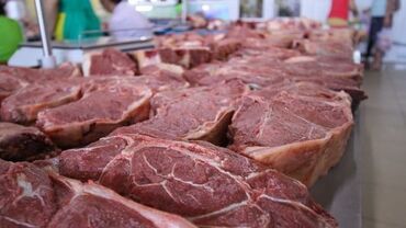 цены на мясо в бишкеке 2023: Говядина : 8 кг, Бесплатная доставка
