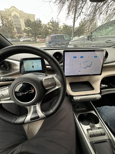 BYD: BYD Dolphin: 2023 г., Автомат, Электромобиль, Хэтчбэк — 7