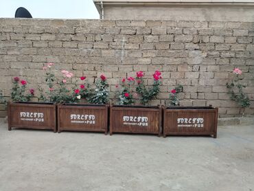 Sifarişlə digər bağ mebeli: Taxta məmulatları və həyət/perqola konstruksiyaları - Mətbəx üçün — 23