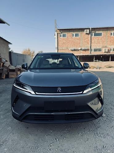 BYD: BYD : 2025 г., Автомат, Электромобиль, Кроссовер — 2