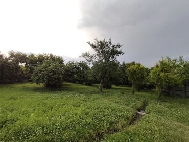 Bağ evlərinin satışı: Zaqatala, 110 kv. m, 4 otaqlı, Hovuzsuz, Artezian quyusu -da lalafo.az — 17 Bağ evlərinin satışı: Zaqatala, 110 kv. m, 4 otaqlı, Hovuzsuz, Artezian quyusu — 17