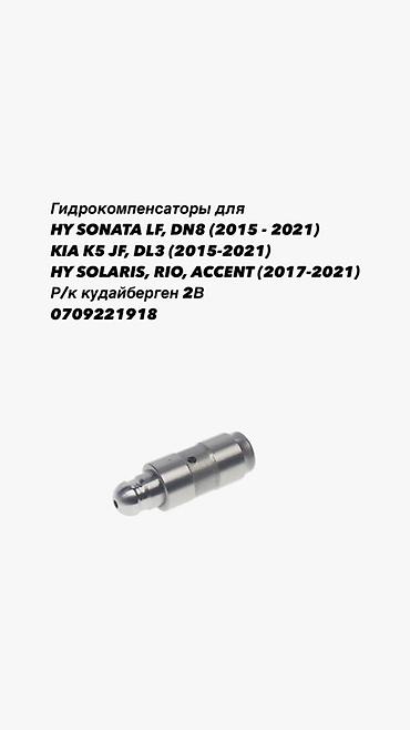 Гидрокомпенсаторы (гидротолкатели) для бензиновых двигателей