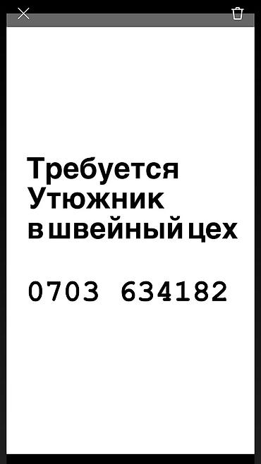 Гладильщик, Опыт работы: 1-2 года опыта