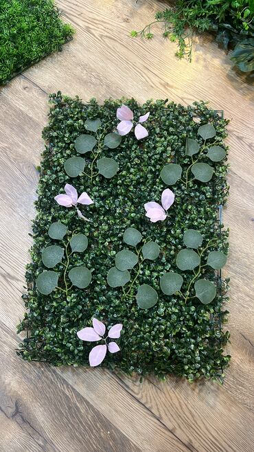 Digər ev dekoru: 6 man baslayan qiymetler — 24