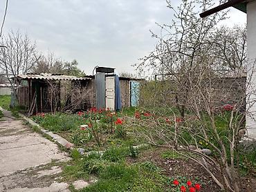 Продажа коттеджей и домов: Продам дом,Кара-Балта. ЕСТЬ ТОРГ. Две комнаты Большая кухня Гараж at lalafo.kg — 6 Продажа коттеджей и домов: Продам дом,Кара-Балта. ЕСТЬ ТОРГ. Две комнаты Большая кухня Гараж — 6