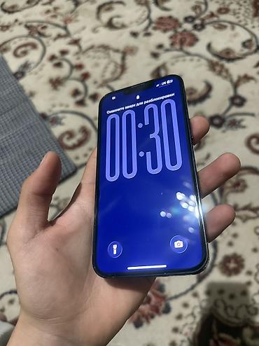 Apple iPhone: IPhone 13 Pro, Зеленый — 4