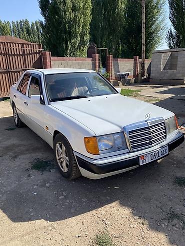 зеркало w140: Mercedes-Benz W124: 1992 г., 2.5 л, Механика, Дизель, Седан — 1