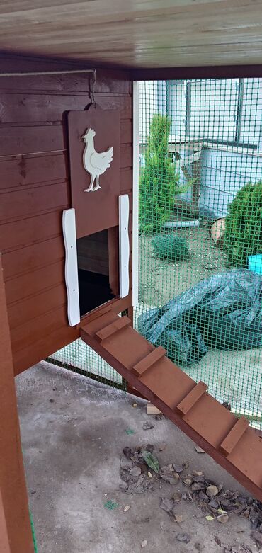 Yuvalar: Tuyuq yuvası Hin sifarişlə hazırlanması istənilən ölçüdə tam — 6