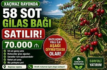 Torpaq sahələrinin satışı: 58 sot, Kənd təsərrüfatı — 1
