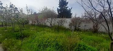 Torpaq sahələrinin satışı: Tikinti, Kupça (Çıxarış) — 7