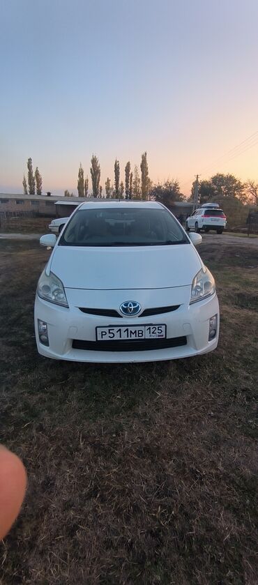 приу: Toyota Prius: 2009 г., 1.8 л, Гибрид, Седан