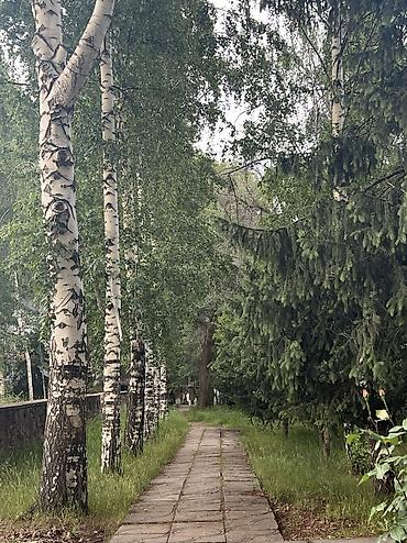 Недвижимость: Гостевой дом на Иссык-Куле, ЭДЕМ, Золотые пески, Бостери, 2 места, Посуточно — 5