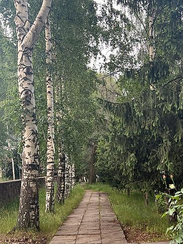 Недвижимость: Гостевой дом на Иссык-Куле, Золотые пески, Бостери — 10