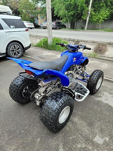 прямотое: Квадроцикл Yamaha, Бензин, 350 куб. см, Взрослый — 4