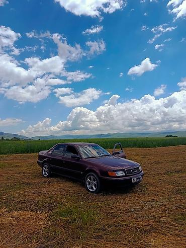 step 2: Audi 100: 1992 г., 2.3 л, Механика, Бензин, Седан — 4