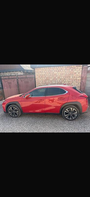 Lexus: Lexus UX: 2019 г., Кроссовер — 8