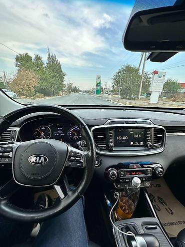low ll: Kia Sorento: 2019 г., 0.2 л, Автомат, Дизель, Кроссовер — 8