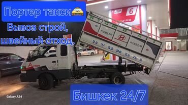 Другие животные: Портер такси портер такси 🚖Портер такси портер такси 🚖Портер такси