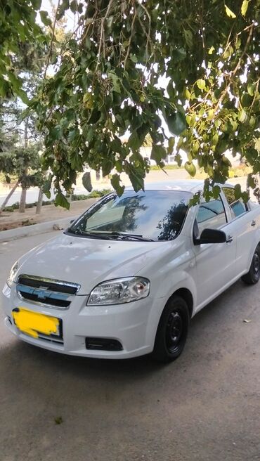 Chevrolet: Chevrolet Aveo sedan – ağ rəng, 4 qapılı, ön ötürücülü şəhər — 6