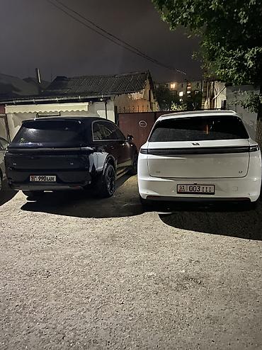Русификация авто: Русификация авто, Китай, Lixiang — 19