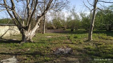 Bağ evlərinin satışı: Xudat, 170 kv. m, 3 otaqlı — 19