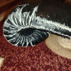 Boks aparatları: Boks ləçəkləri everlast orijinaldir satılır heç bir ciriqi sokuyu — 27